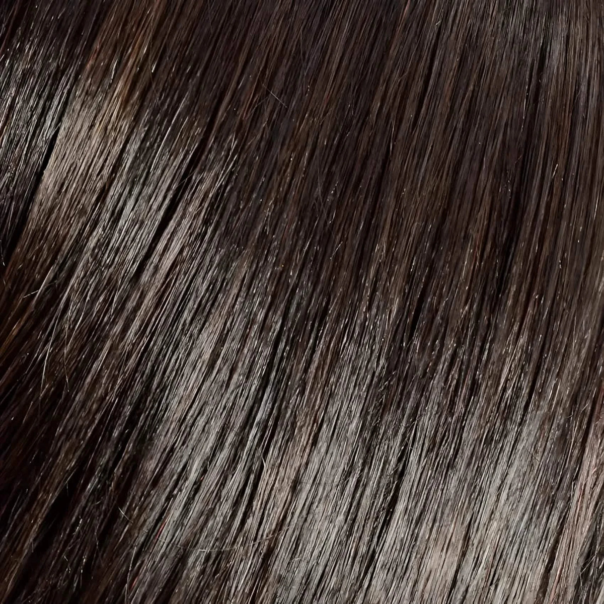 Gisela Mayer Energy Club Dark Brown (4 6)
