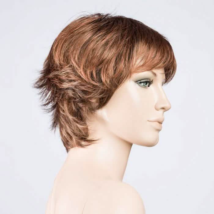Ellen Wille Club 10 hazelnut rooted