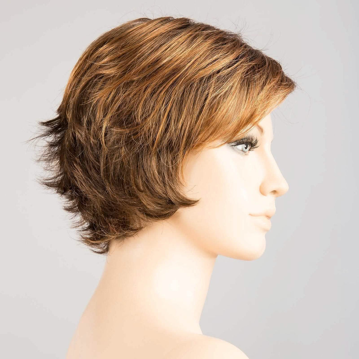 Ellen Wille Date hazelnut rooted