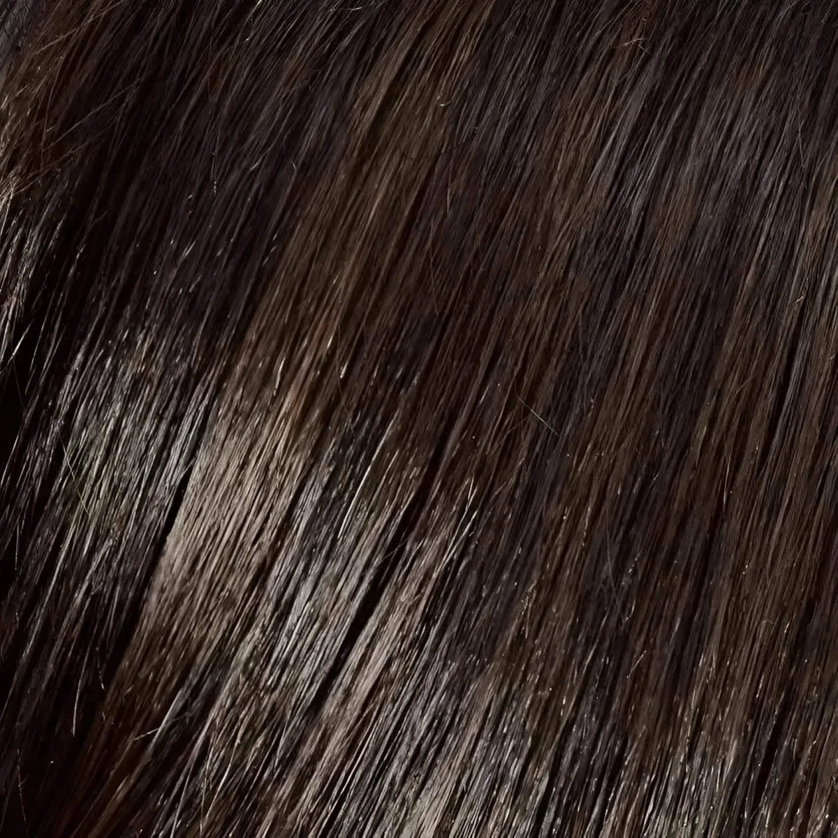 Gisela Mayer HI Flirt (Groß) 4 6 Dark Brown
