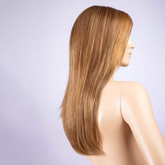 Ellen Wille Mirage lightbernstein rooted