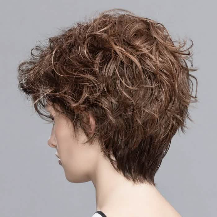 Ellen Wille Show chocolate mix