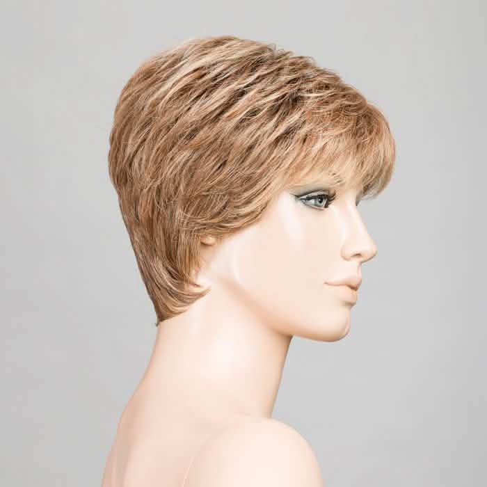 Ellen Wille Zoe bernstein multi tipped