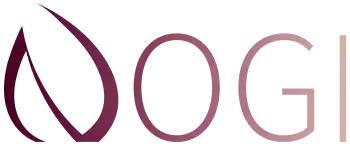 Nogi Haarpflege Produkte-Nogi Beauty Shop