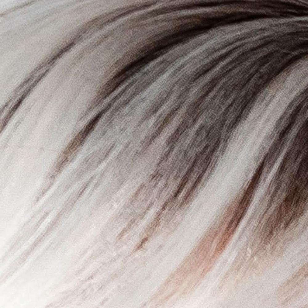 Gisela Mayer Mirage Lace Part Platinum Rooted (100+8)