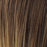 Gisela Mayer HI Lynn bernstein balayage (10 16 27+10)