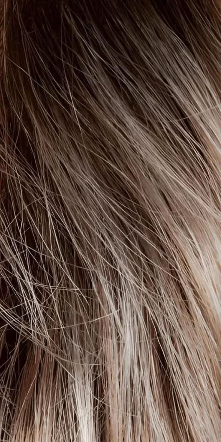 Gisela Mayer Classic Joy 14 23+14