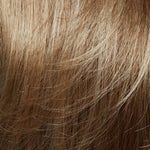 Gisela Mayer High End Vicky (Standard ) Dark Ash Blond Rooted (12 14 26+12)