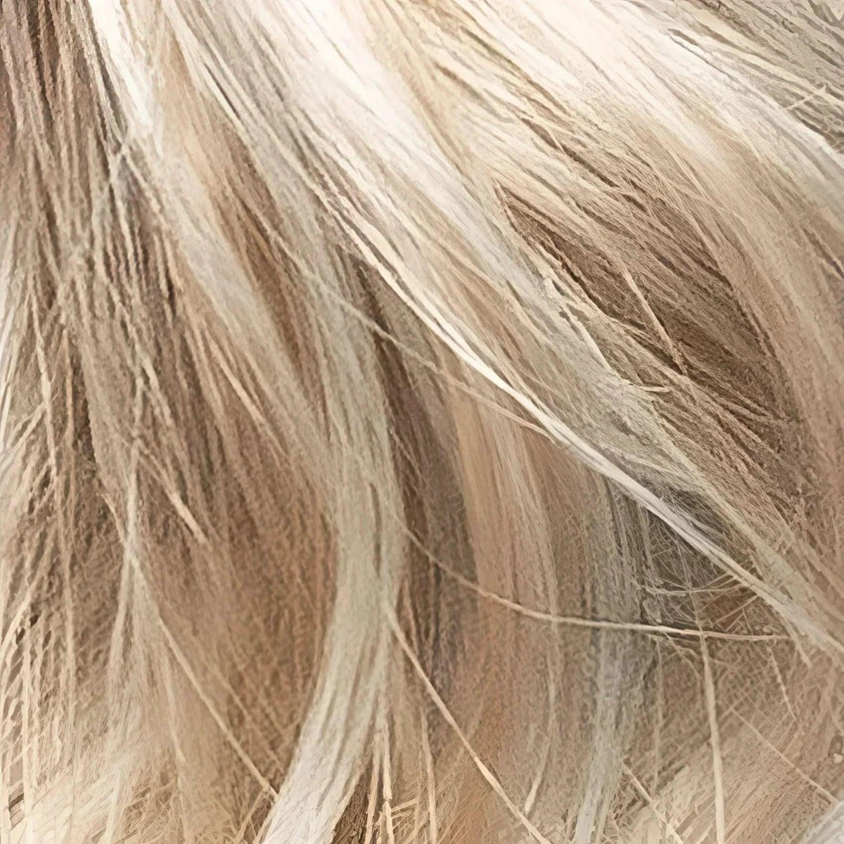 Gisela Mayer Mora Mono Lace (Standard) light bernstein rooted (16 80 100+12)