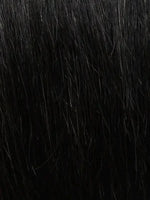 1B