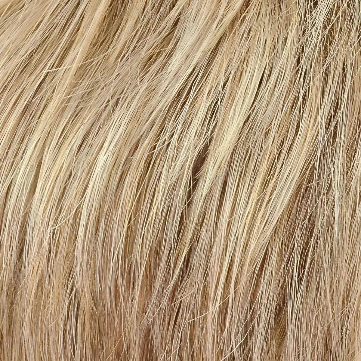 Gisela Mayer Cut Mono Lace 20 25 14