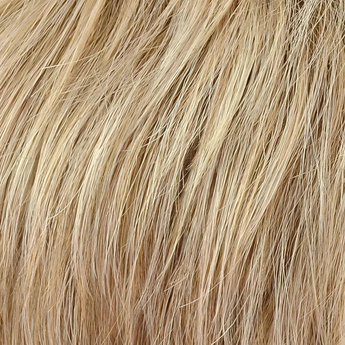 Gisela Mayer Cut Mono Lace 20 25 14