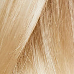 Gisela Mayer Magic Pony HH 22 24