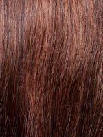 Gisela Mayer Euro Silver Auburn Mix (33 4)