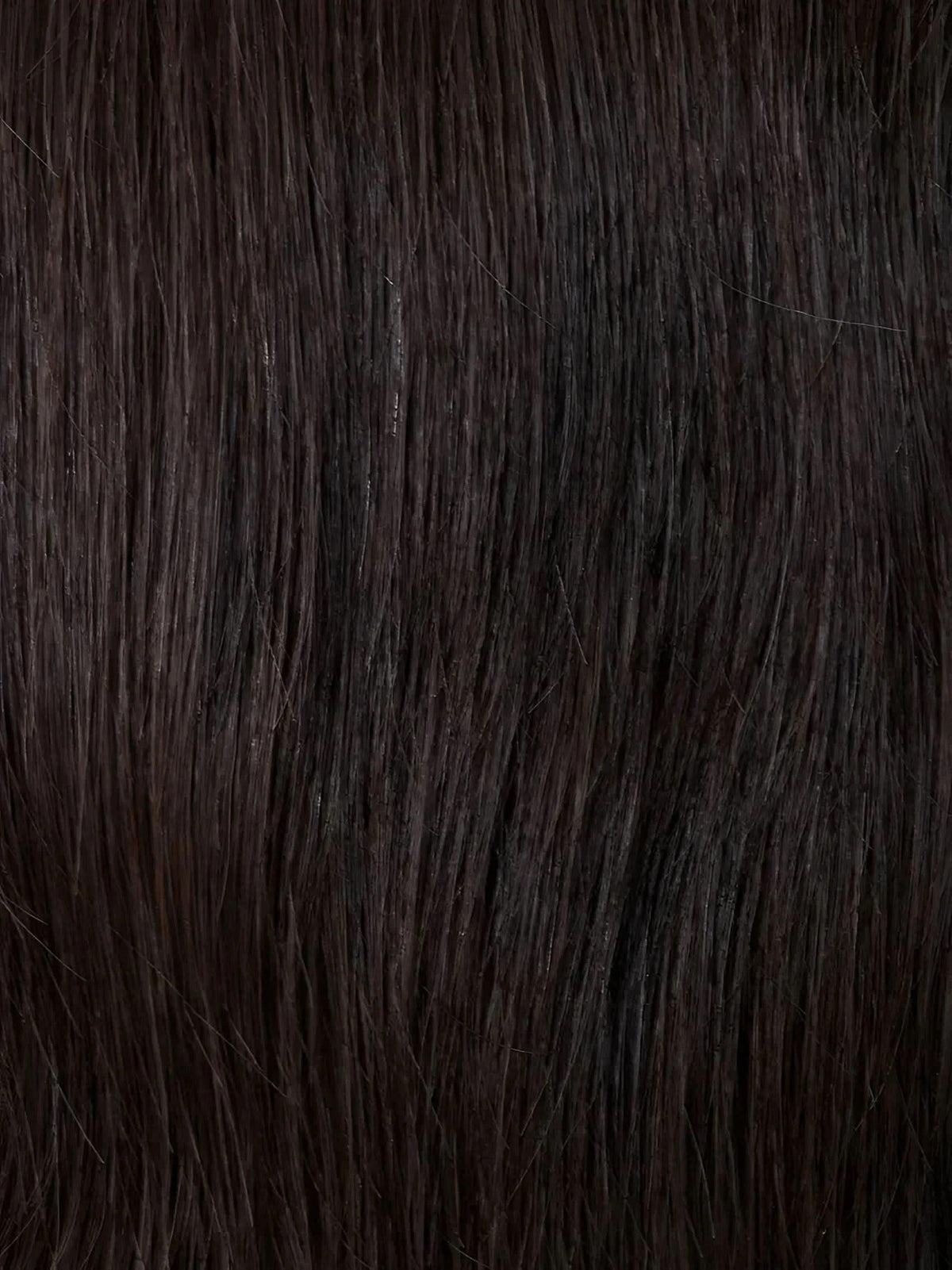 Gisela Mayer Luxery Lace K Cappuccino (4)