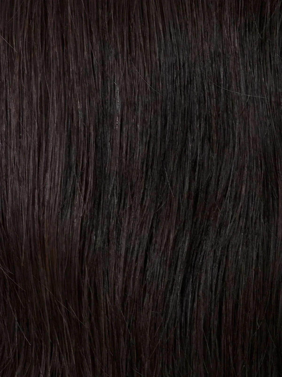 Gisela Mayer Luxery Lace D Cappuccino (4)