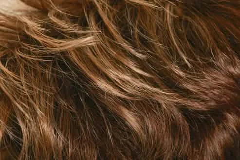 Gisela Mayer Extreme Young Mono Lace 830