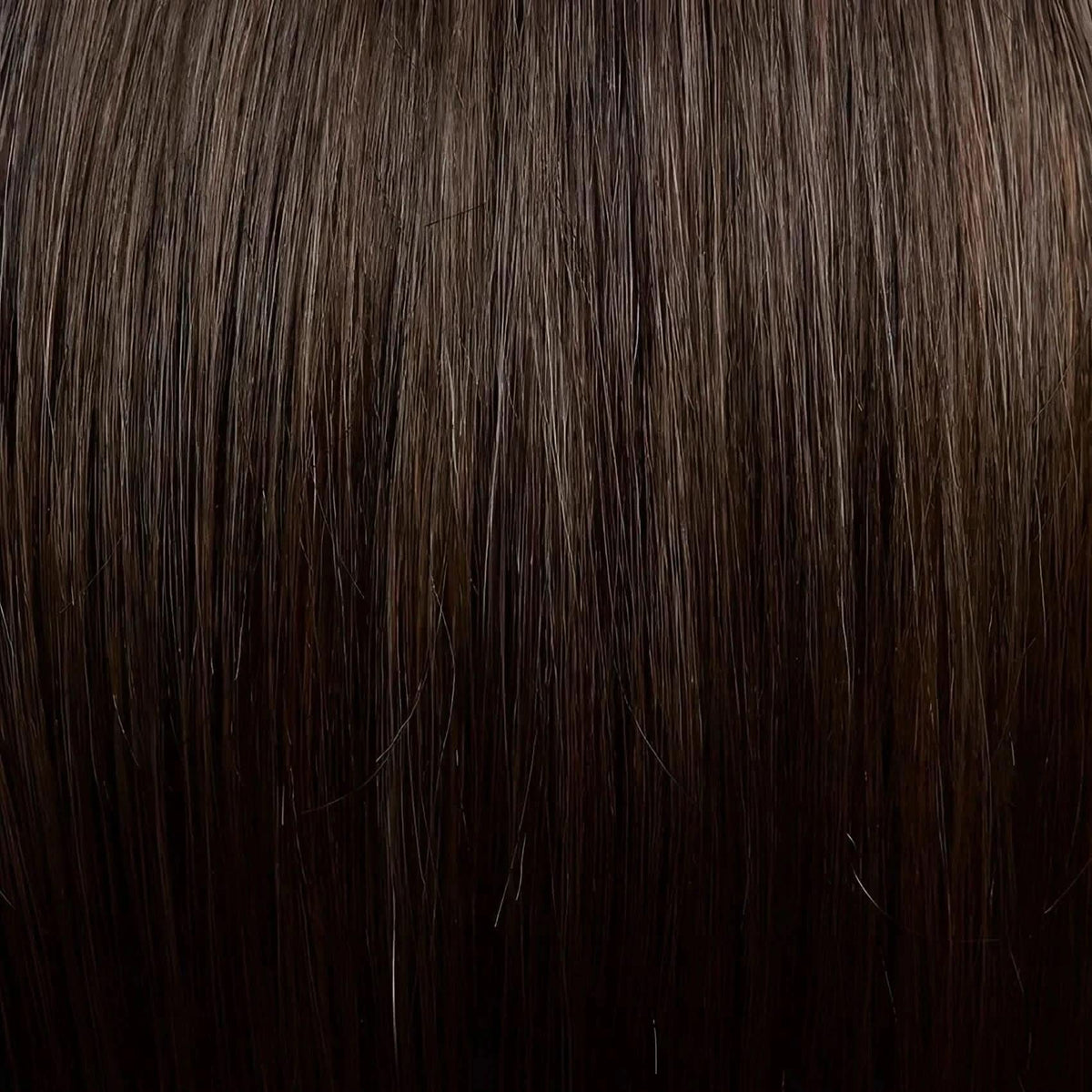 Gisela Mayer Energy Club Mocca Mix (8 6 27)