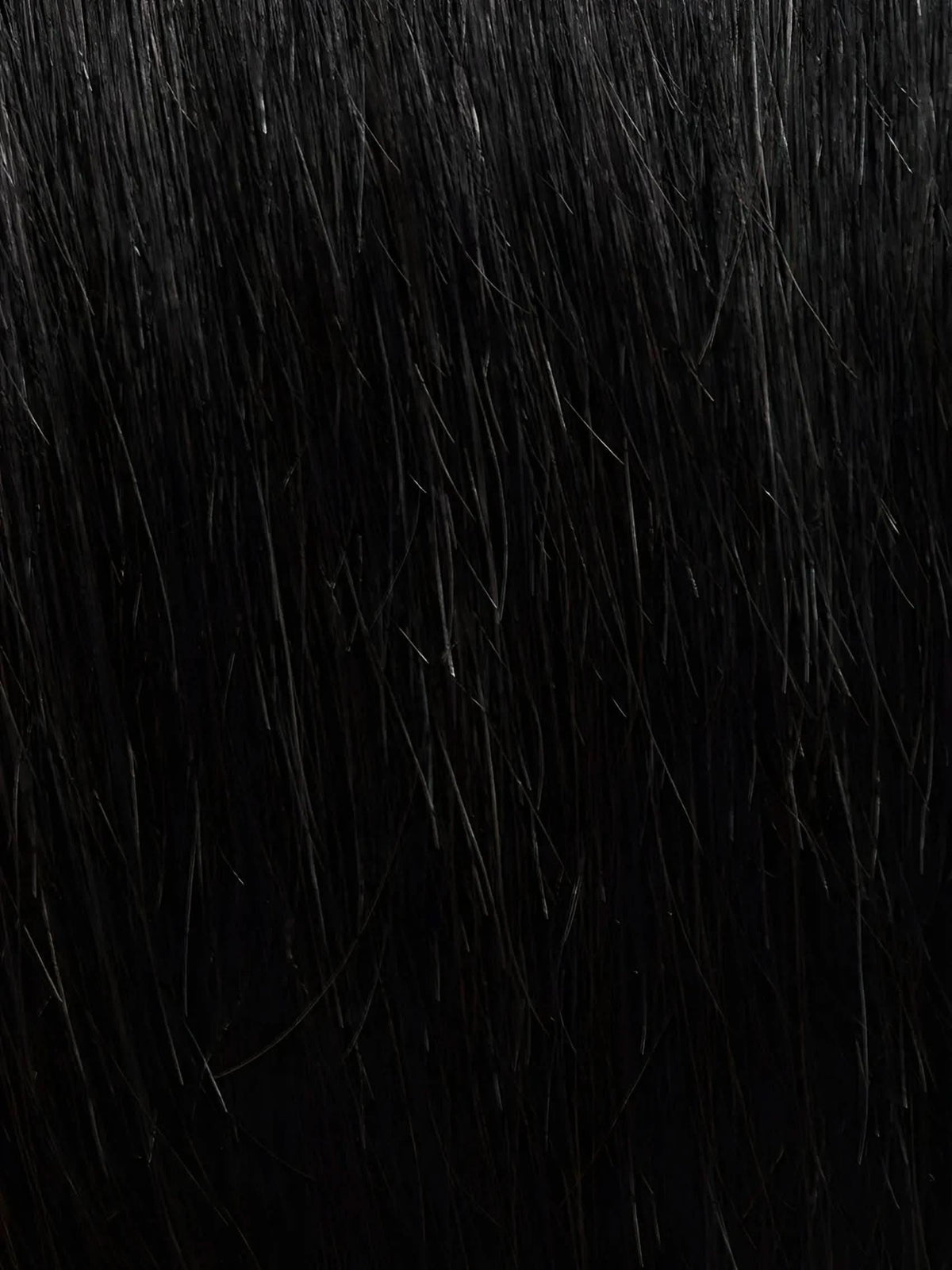 Gisela Mayer Prime Page HH Remy Special black