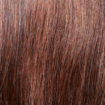 Gisela Mayer Magic Pony HH Chestnut Mix