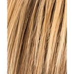 lightbernstein rooted