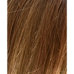 light bernstein rooted