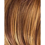 hazelnut rooted