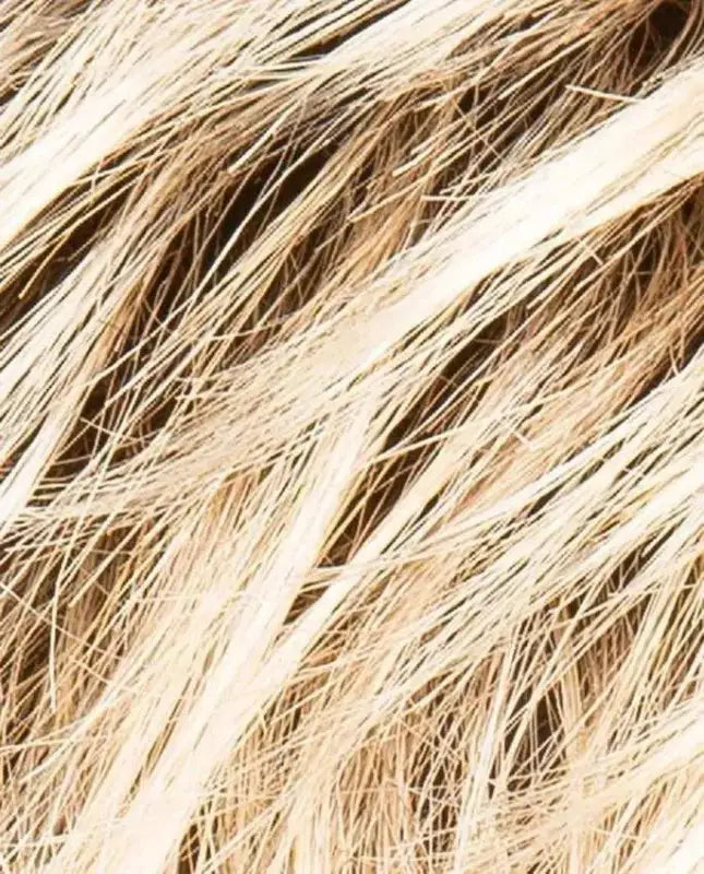 sandyblonde rooted