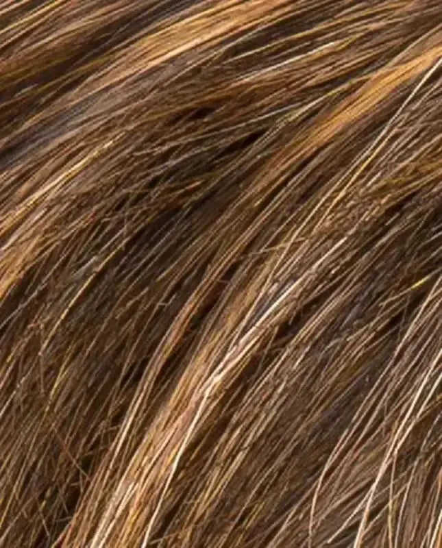 hazelnut rooted
