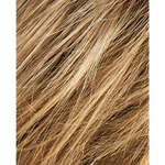 lighbernstein rooted