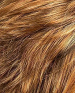 hazelnut rooted