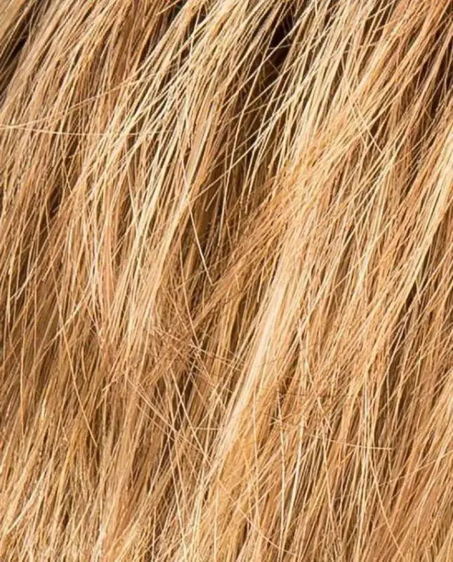 ginger rooted