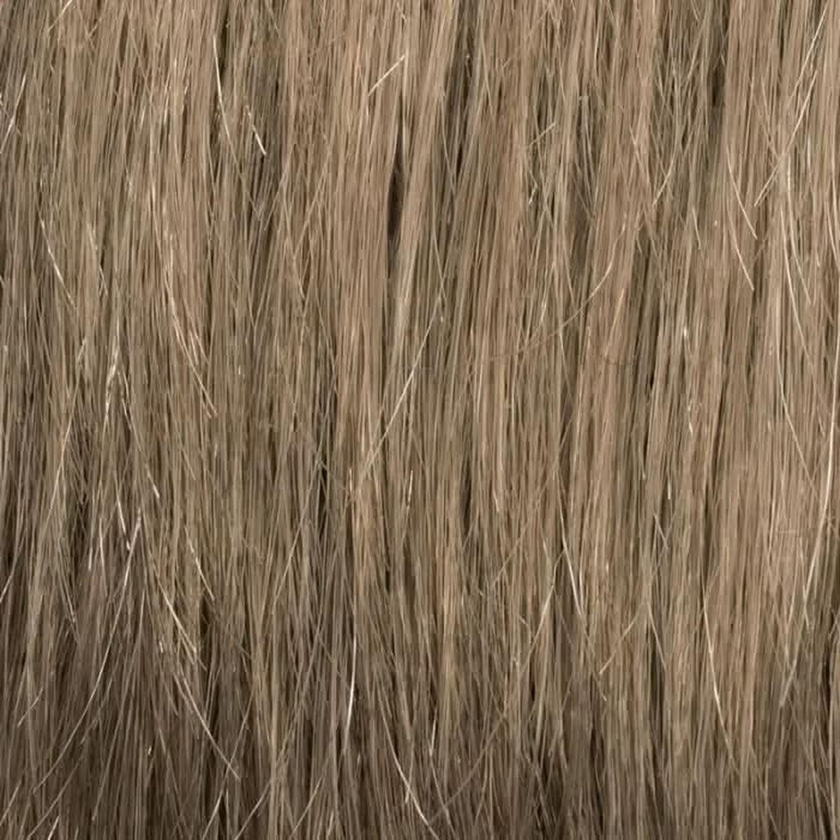 Ellen Wille George 5-Stars M14S