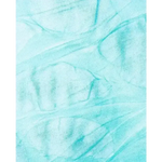 turquoise/leaves