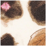 Flower/Cream