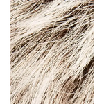 silverblonde rooted
