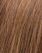 chocolate rooted