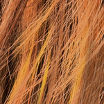 mangored rooted