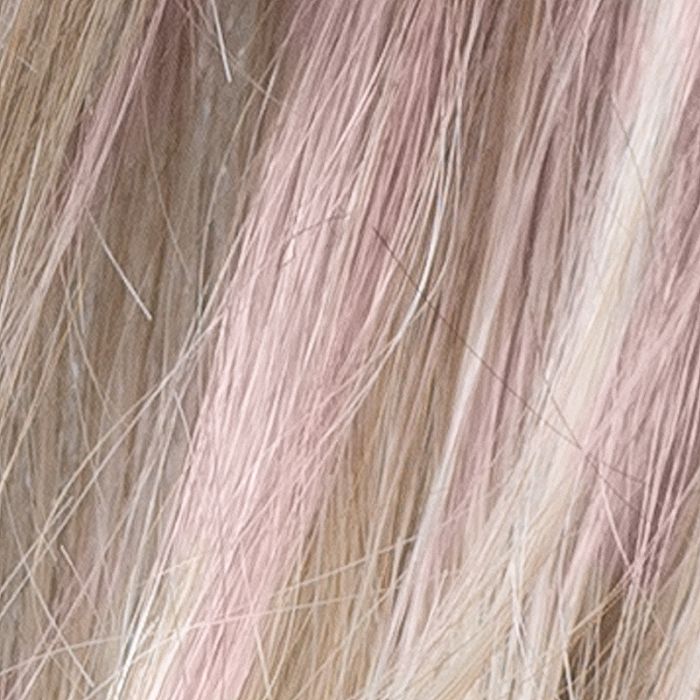 pastel rose rooted