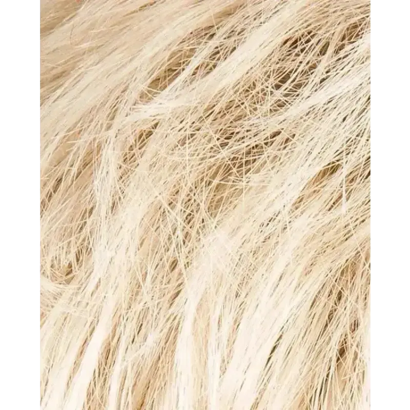 champagne rooted