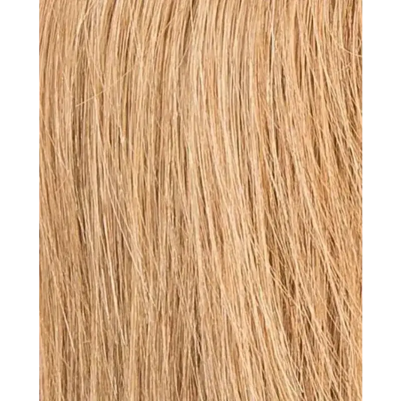 lightbernstein rooted