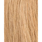 lightbernstein rooted