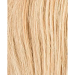 sandyblonde rooted