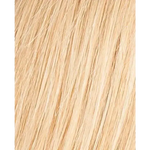 champagne rooted