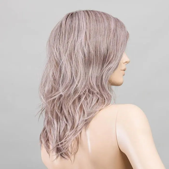 lavender rooted