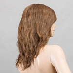 chocolate rooted