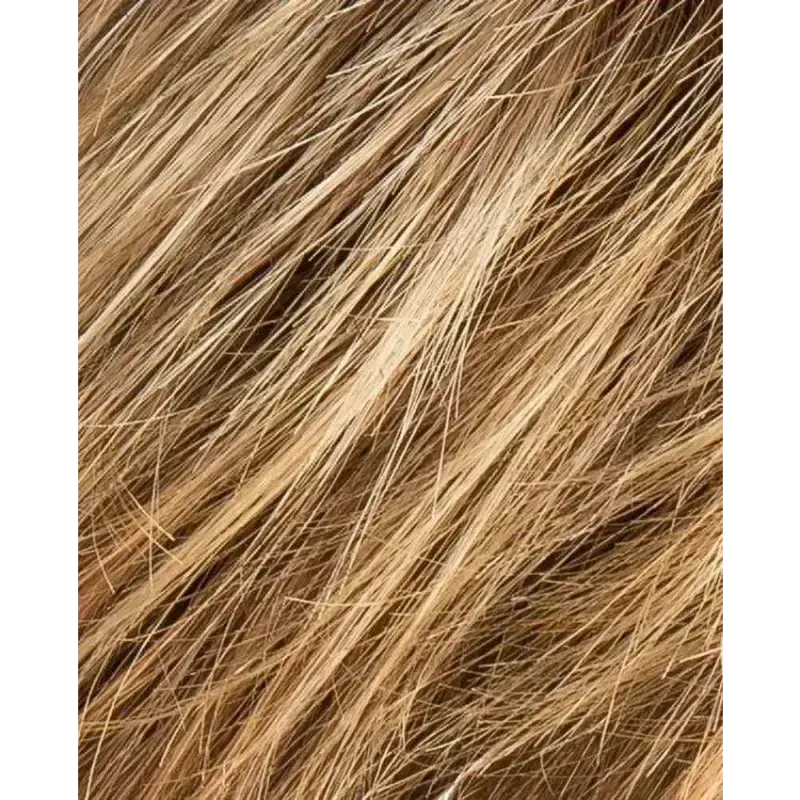 lightbernstein rooted