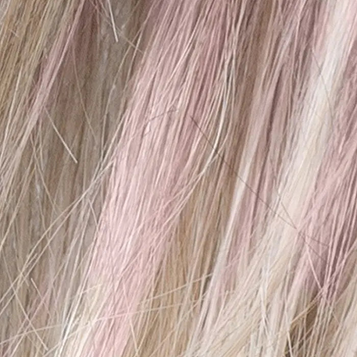 pastel rose rooted