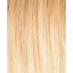 champagne rooted