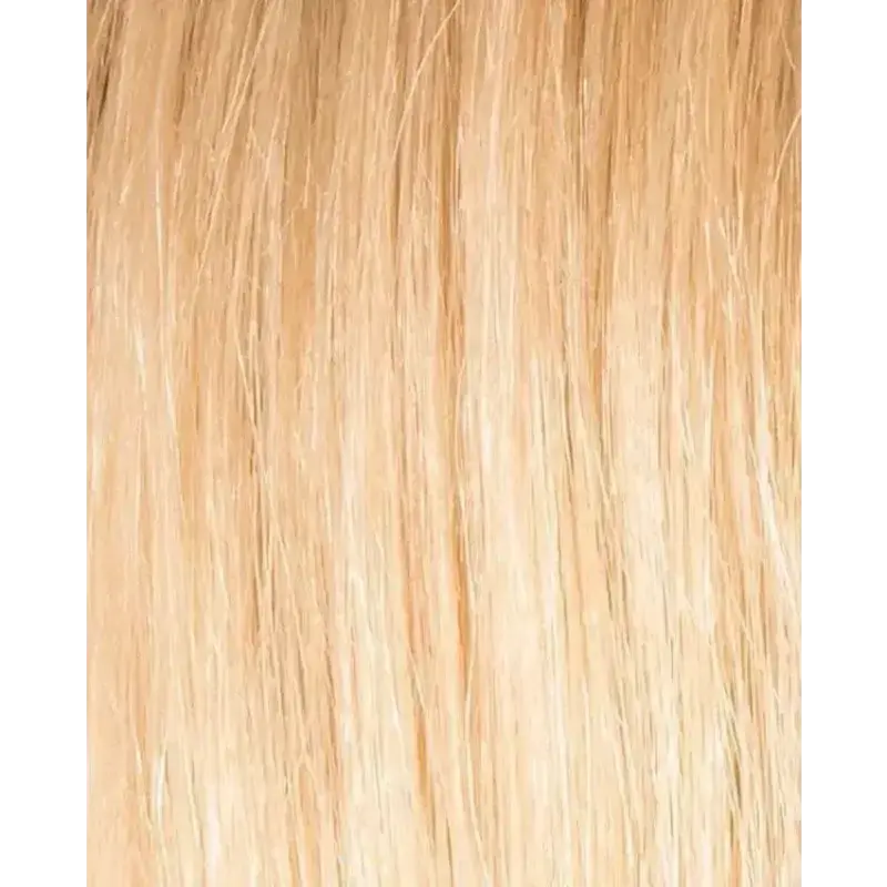 champagne rooted